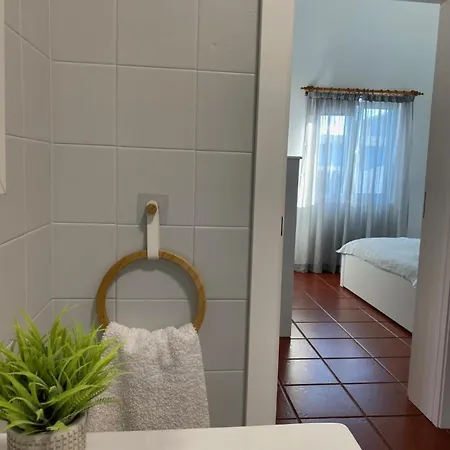 Casa Dos Passarinhos
