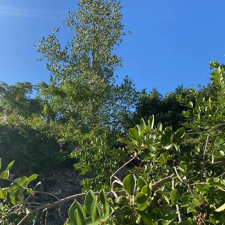 Casa Dos Passarinhos *