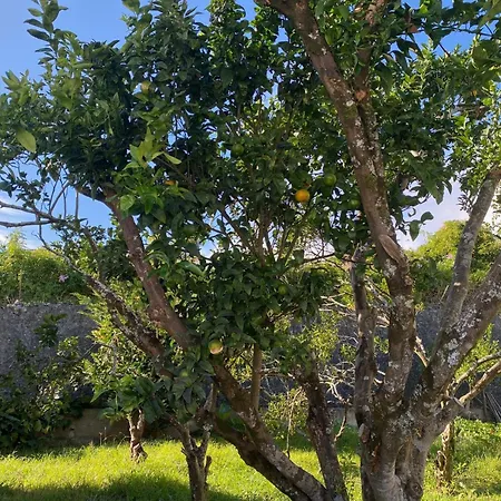 Casa Dos Passarinhos Casa de Férias