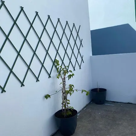 Casa Dos Passarinhos * Angra do Heroísmo