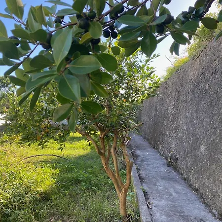 Casa Dos Passarinhos Angra do Heroísmo